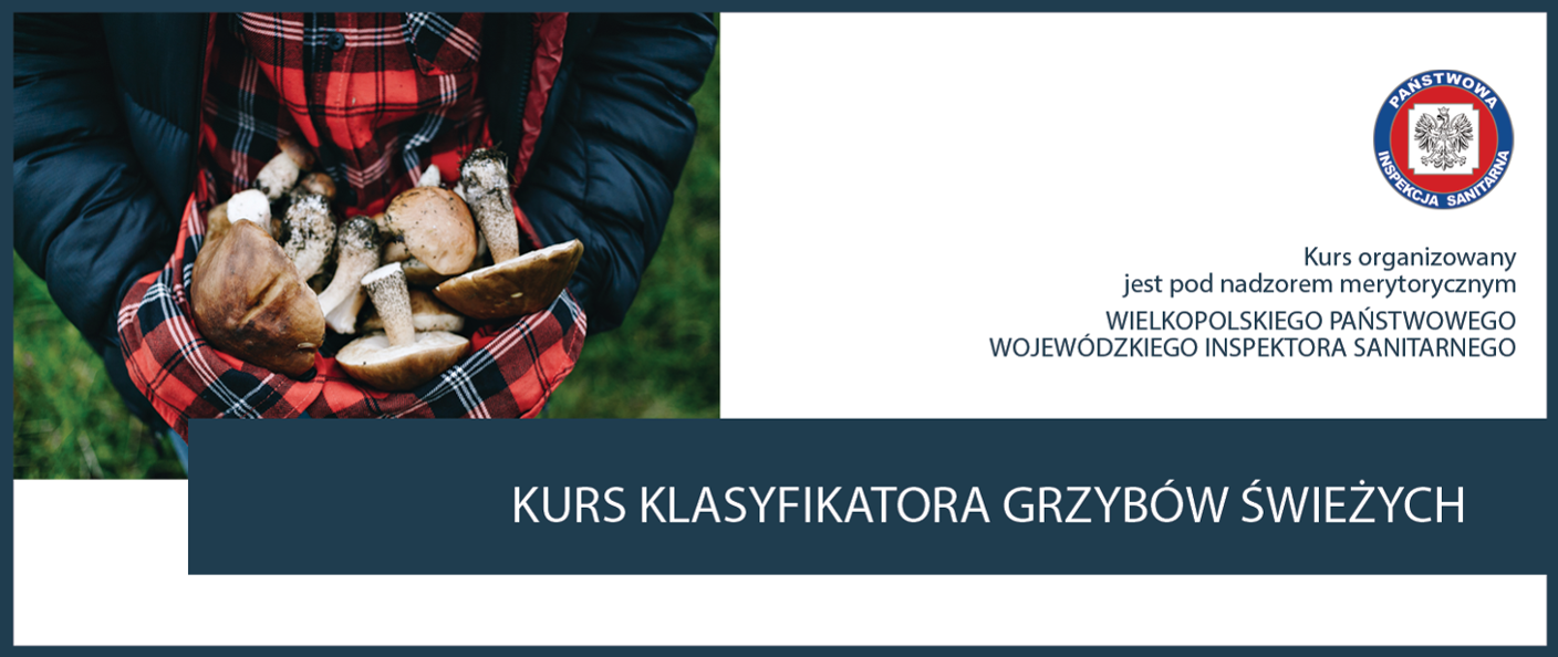 kurs