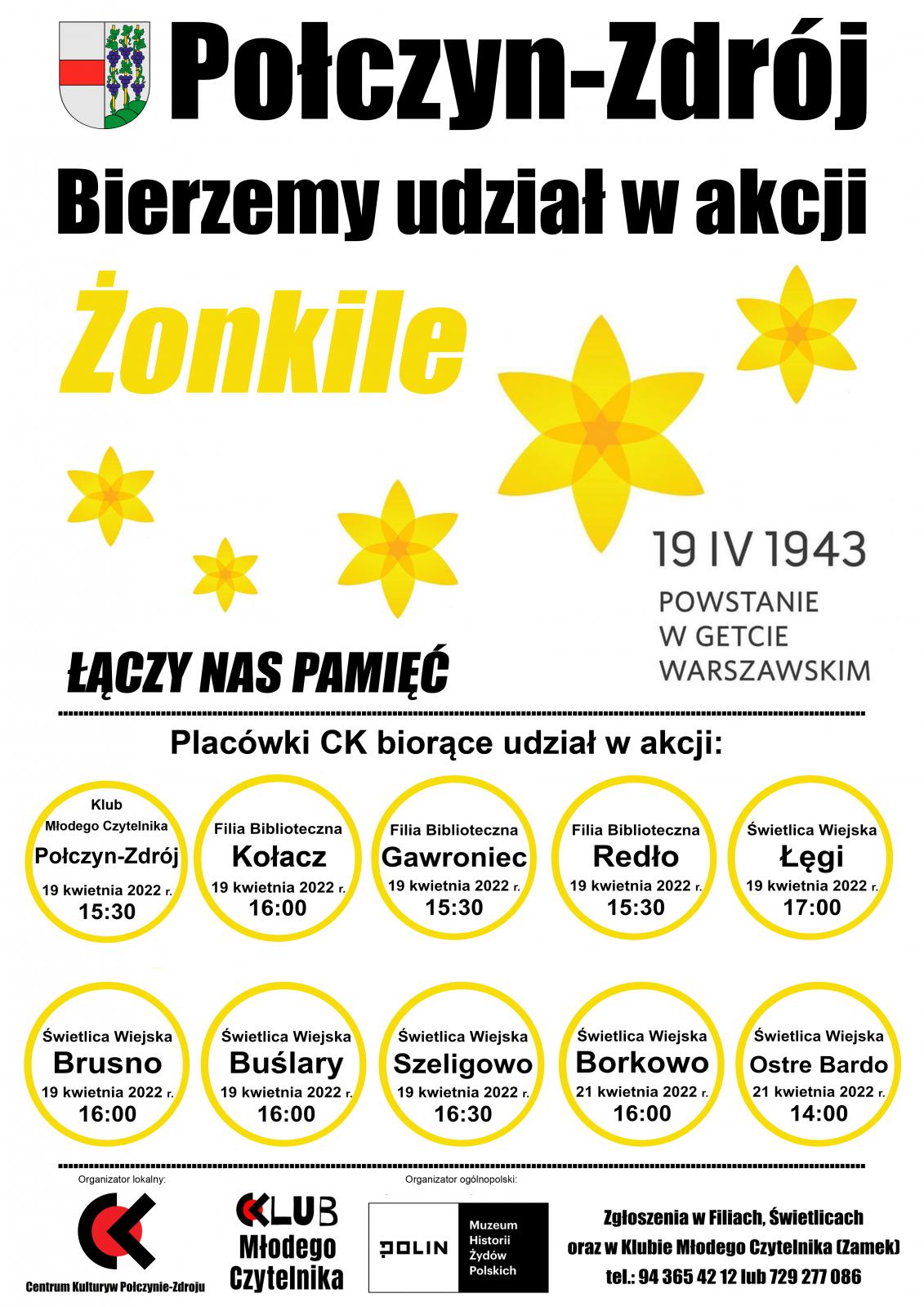 żonkile