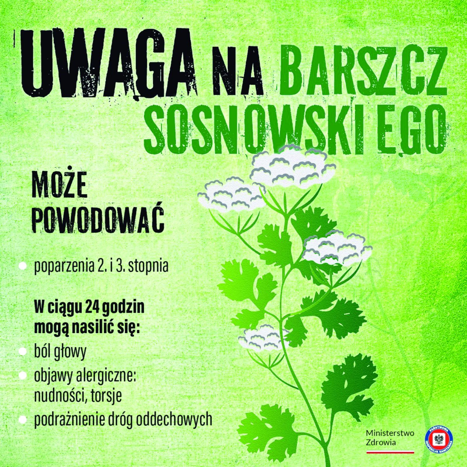 plakat