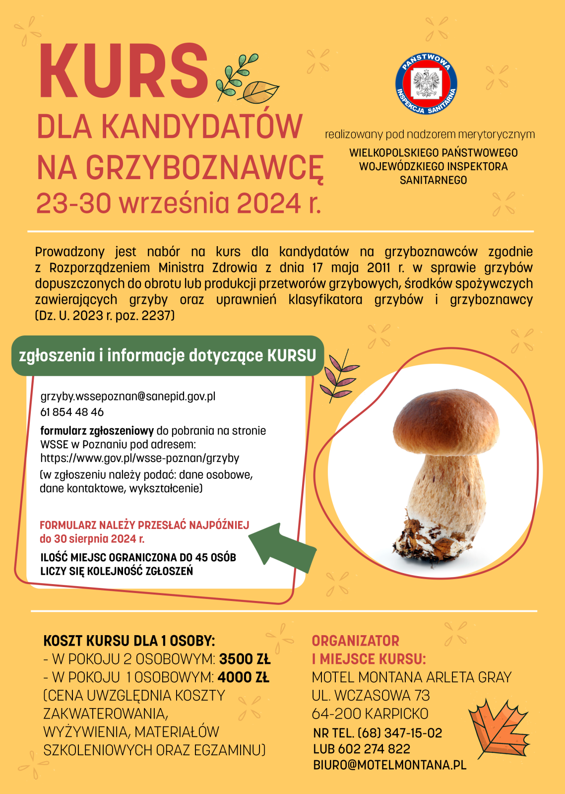 Plakat