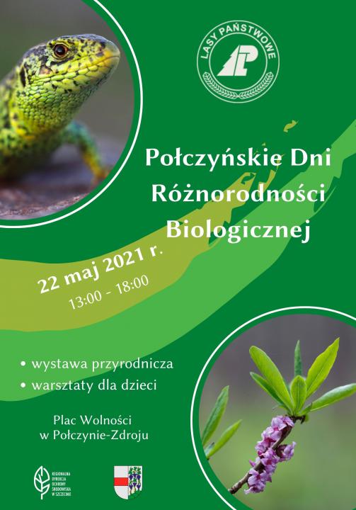 Piknik odbędzie się w sobotę 22 maja od godziny 13:00 na Placu Wolności w Połczynie-Zdroju