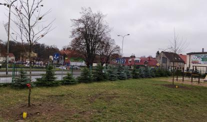 Bardziej zielono w regionie