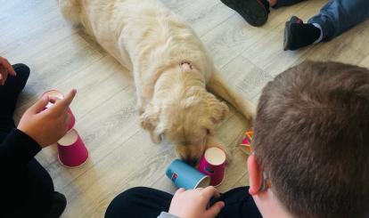 Dogoterapia w Szkole Podstawowej z Oddziałami Przedszkolnymi w Toporzyku