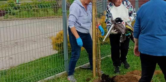 Projekt „EKO Wieś” w Kołaczu