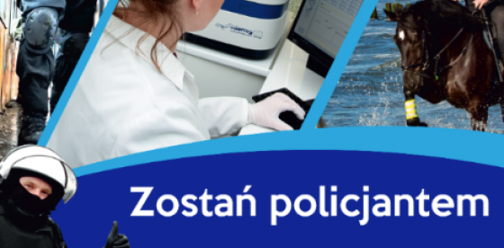 policja