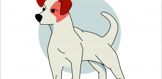 Ilustracja Freepik