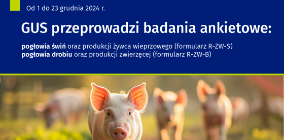 Badanie ankietowe- plakat
